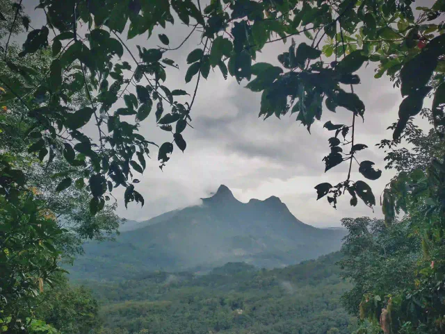 Agasthyan