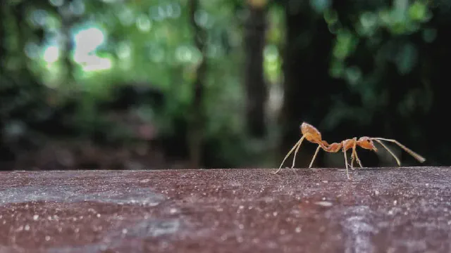 Living behind