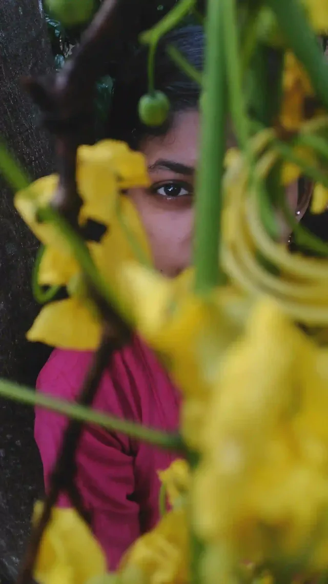 Vishu   Day of equal halves