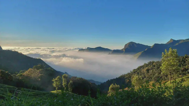 munnar