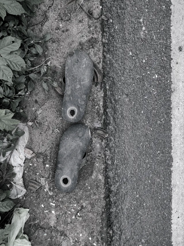Photo 40