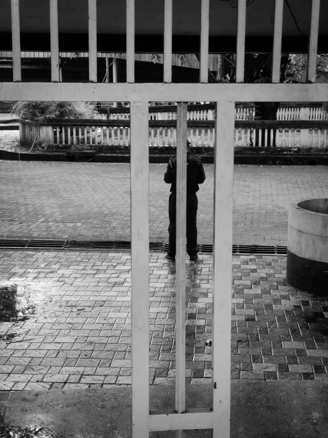 Photo 50