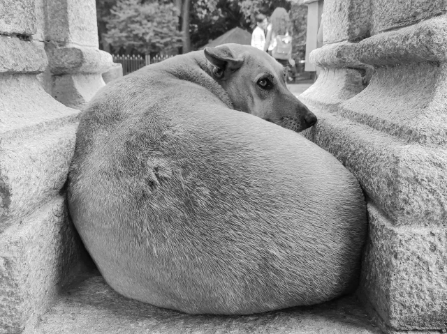 Photo 77